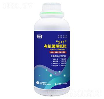 ��2+1���ЙC(j��)��ጵ���-���R