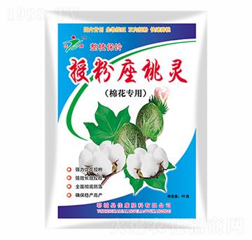 �ڷ������`-�ѿ�