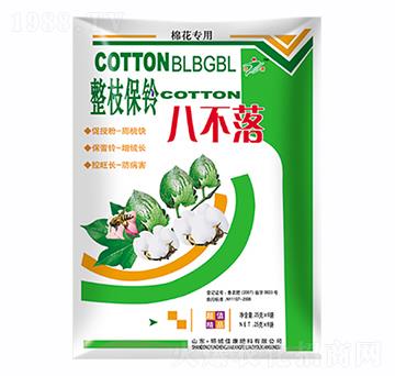 ��֧��⏰˲���-�ѿ�