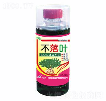 �����~�~���-�ѿ�