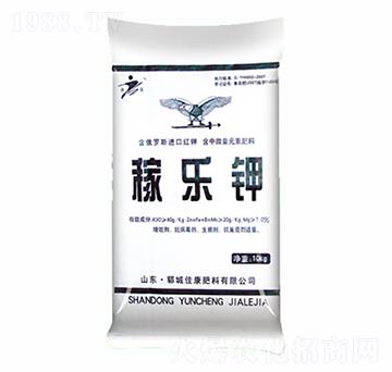 �ژ��-�ѿ�