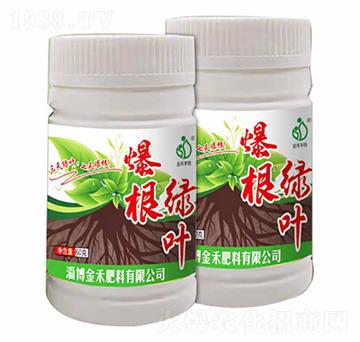 �����G�~-�Ͳ����