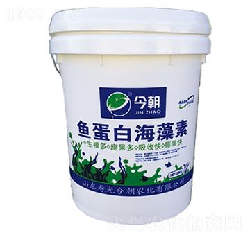 �~���׺�����-���r(n��ng)��