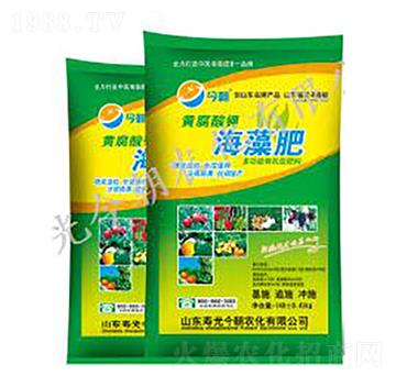 �����-���r(n��ng)��