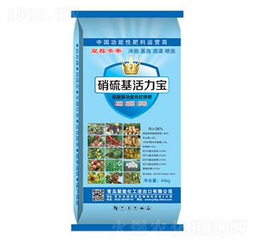 �����������-�ʼڵ۹�-����