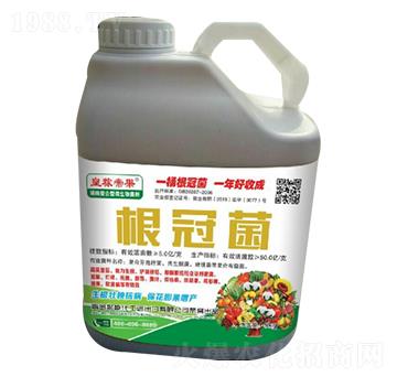 ���ھ�-�ʼڵ۹�-����