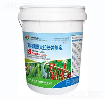 ����������L�_ʩ��-ʩ�۸�