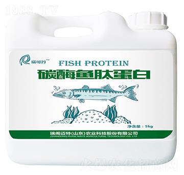 ø���~(y��)�ĵ���-��ɵ�-���w�~��