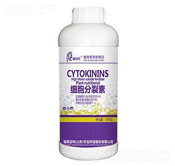 ����������-���w�~��