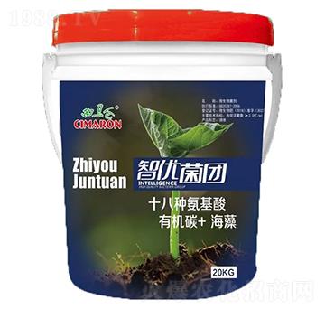 �������ЙC(j��)̼����ˮ�ܷ�-���R������