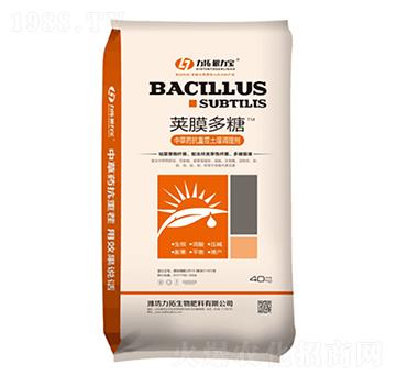 �vĤ����-��������