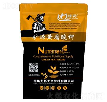 �VԴ�S�����-��������