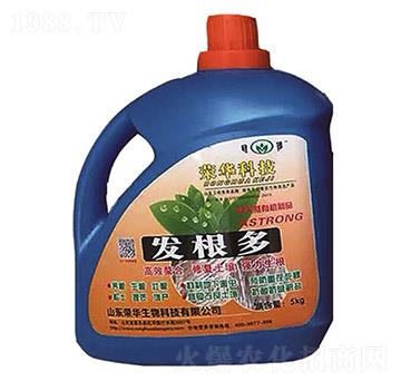 �l(f��)����������-�s�A����