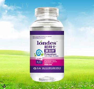 300���{��ʿ�ۺ��-����