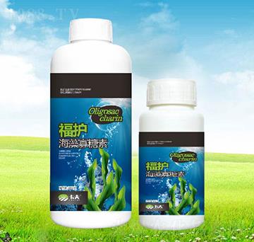 ���������-���o(h��)-����