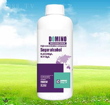 �ۺ��-�����Z-����