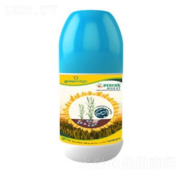 Prerak Wheat-�ָ���