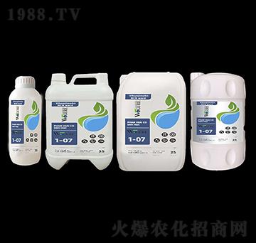 ֲ�ﺣ�����-�ָ���