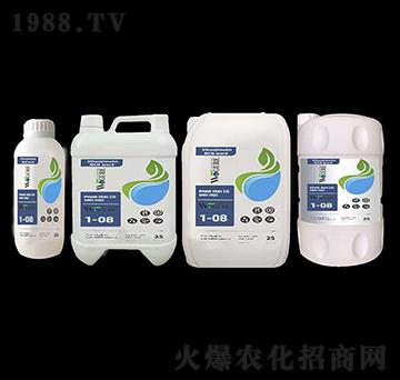 ֲ�ﺣ�����1-08-�ָ���