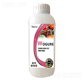 ø���~�����ģ�ƿ�b��-�ָ���