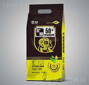 �V�|Դ�S�����-�����r�I(y��)