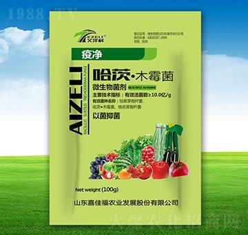 ���ġ�ľù��-�߃�-�μѸ�