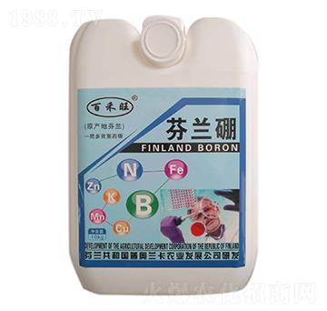 ���m��-���S�ʘI(y��)