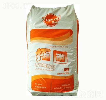 ����������|-����-���ȶ�