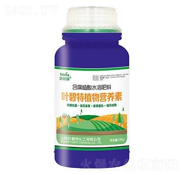 250g����ֲ��ˮ�ܷ���-ֲ��I�B(y��ng)��-�~����