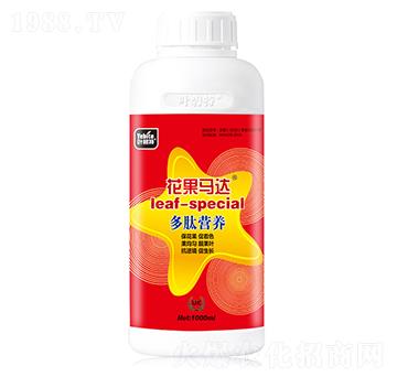 �����R�_-�~����