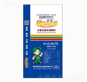 ����Ԫ��ˮ�ܷ�12-8