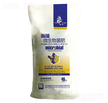 ����΢�������-���w�~��