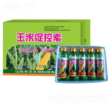 ���״ٿ���-�r��