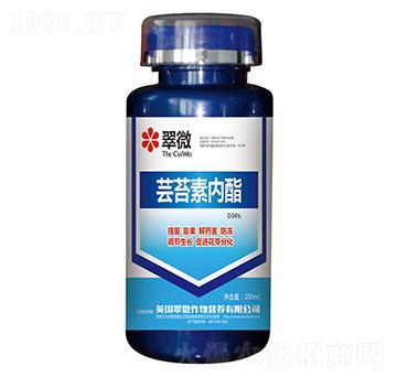 �|̦�؃�(n��i)��-�r(n��ng)��