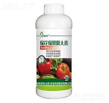 �������������-��ɵ�-���w�~��