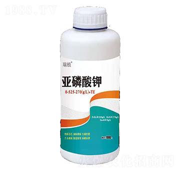 �������0-525-270+TE-��ֲ-���w�~��