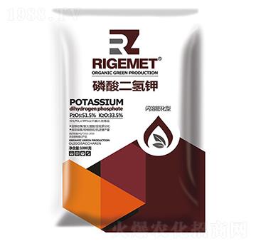 �������-��ֲ-���w�~��