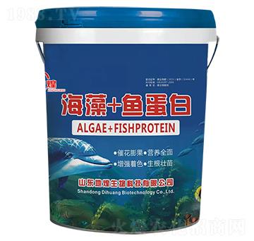 ����+�~����-�ػ�����