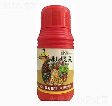 ��ˎ�ĉѸ��`-�����_(d��)