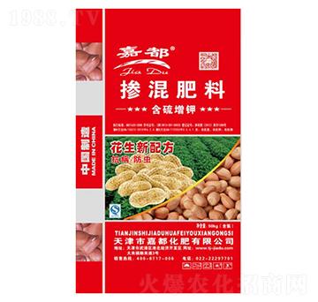 �����䷽�ʓ������-��