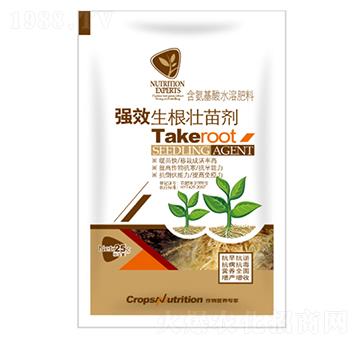 �������焩-�|���S