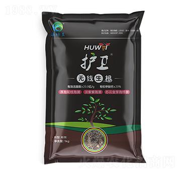 �o(h��)�l(w��i)���o(w��)��(xi��n)����-���G��