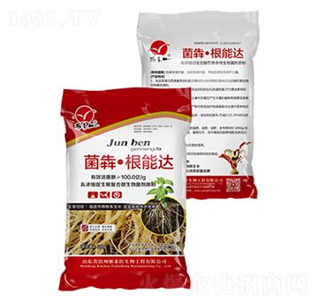 ���ġ������_-����t