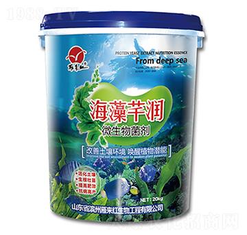 ΢�������-����ܷ��(r��n)-���(l��i)�t