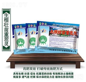 ���������ز��`-��������