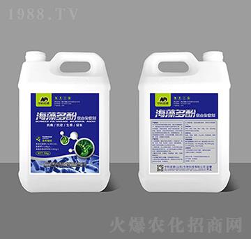 ������΢�������-�п��Z��