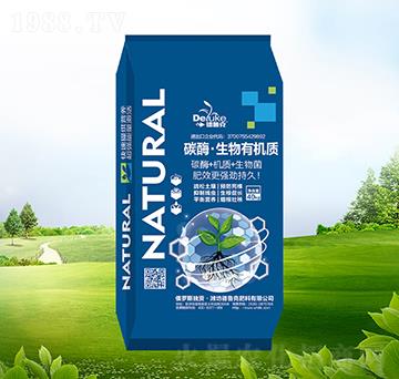 ̼ø�������ЙC�|-������