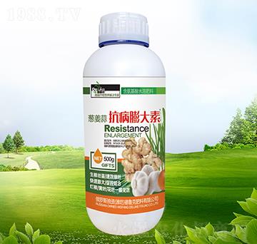 �[���⿹�������-������