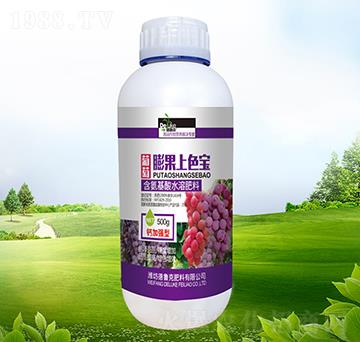 ���������ɫ��-������