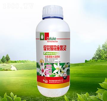 �ٻ��߻������`-������